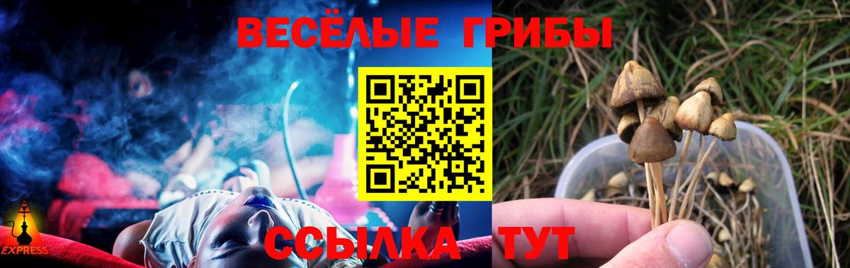 Галлюциногенные грибы GOLDEN TEACHER Набережные Челны